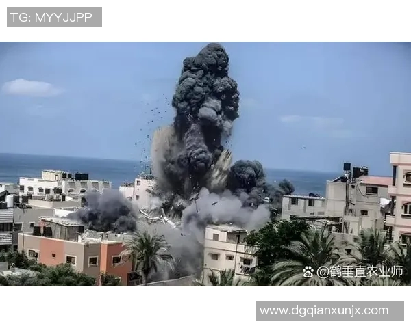 中国与约旦在2019叙利亚赛场上的激烈对决与精彩瞬间回顾