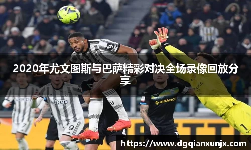 3377体育官网入口